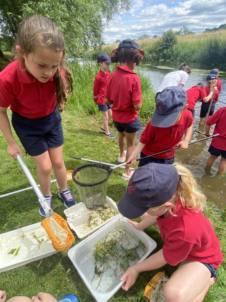 River life, Copthill School