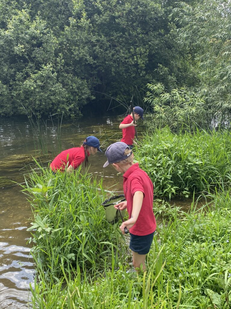 River life, Copthill School