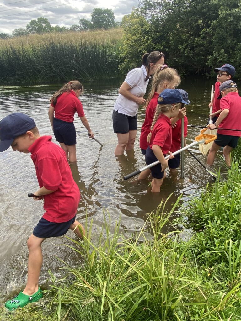 River life, Copthill School