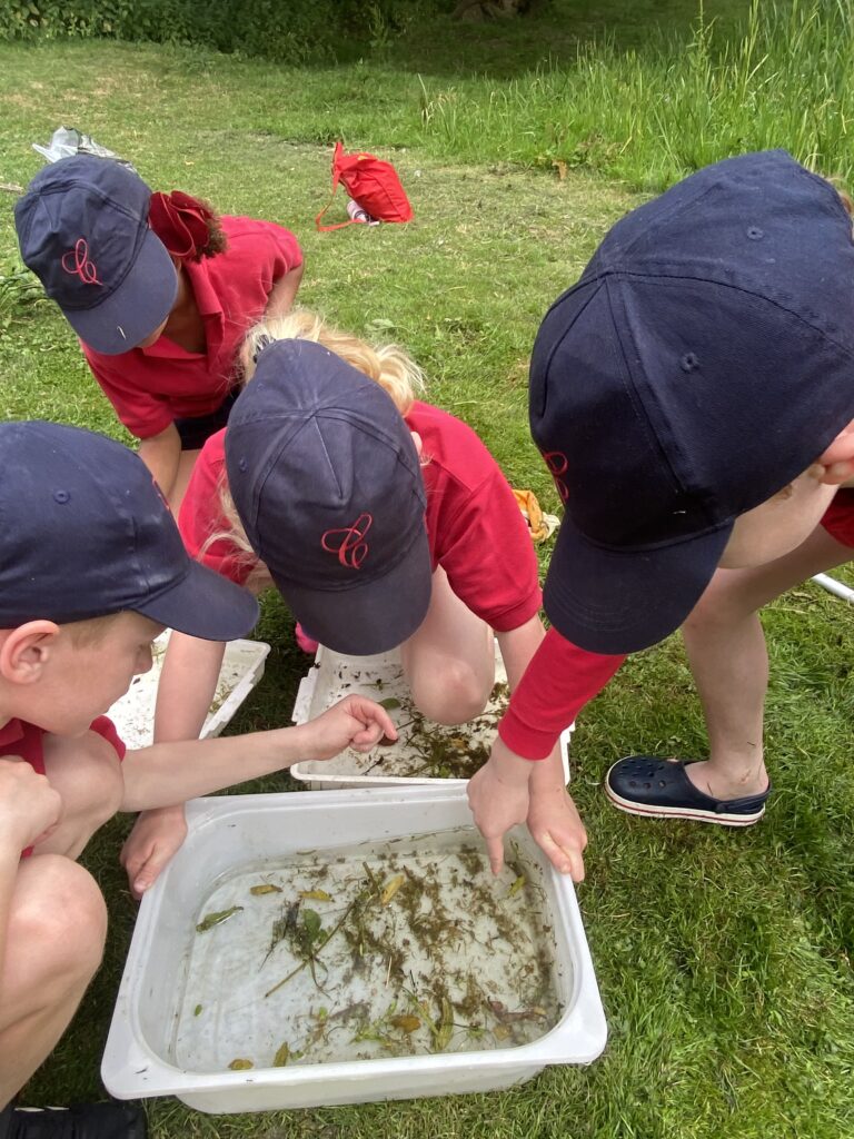 River life, Copthill School
