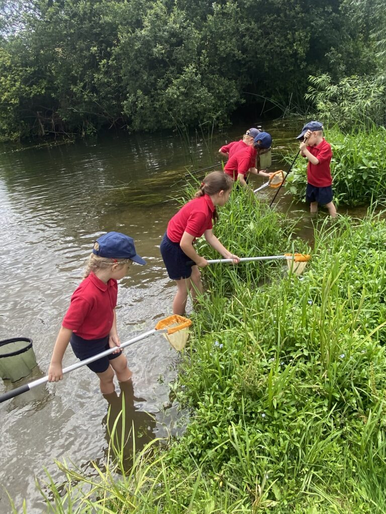 River life, Copthill School