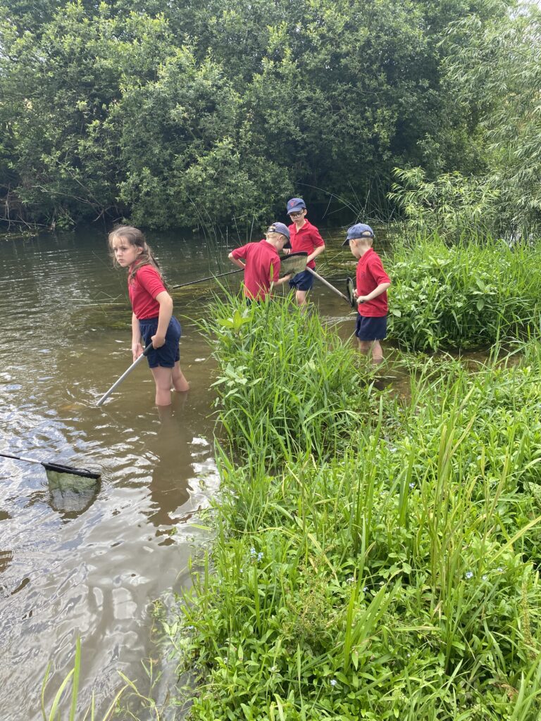 River life, Copthill School