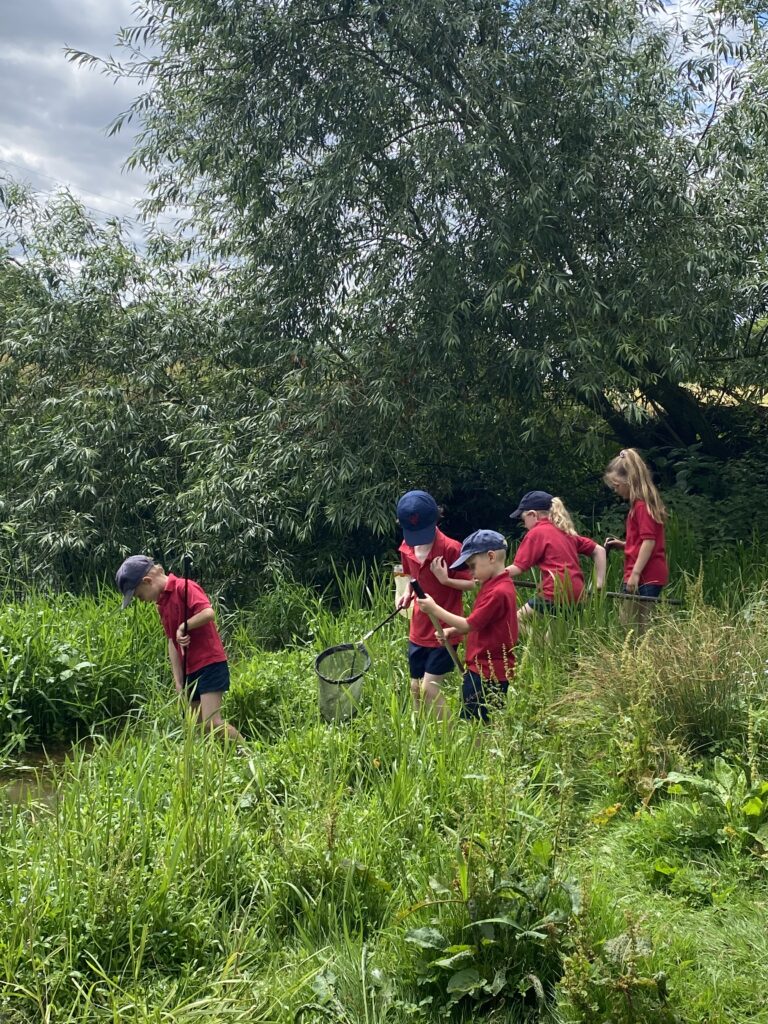 River life, Copthill School