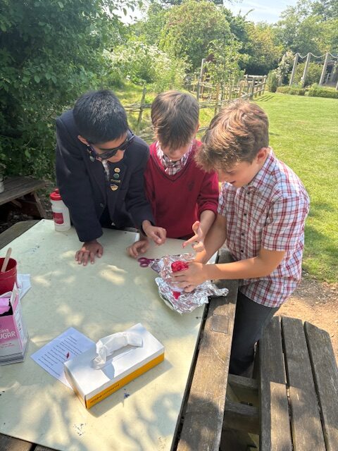 Investigating mountain formation Y6, Copthill School
