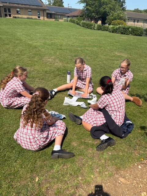 Investigating mountain formation Y6, Copthill School