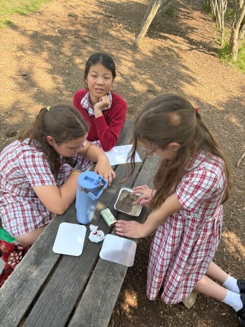 Investigating mountain formation Y6, Copthill School