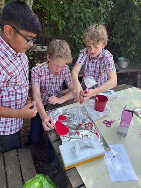 Investigating mountain formation Y6, Copthill School