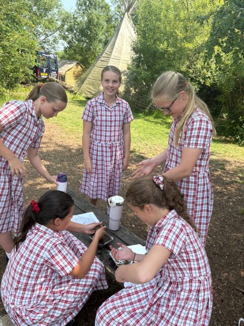 Investigating mountain formation Y6, Copthill School