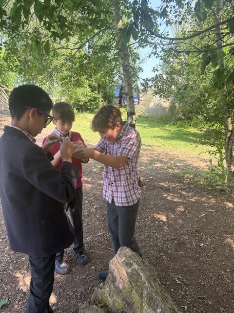 Investigating mountain formation Y6, Copthill School