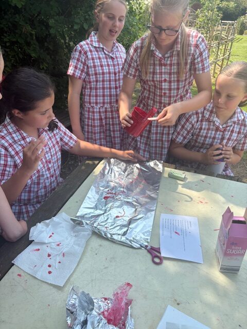 Investigating mountain formation Y6, Copthill School