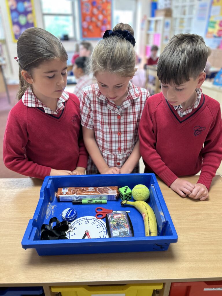 Using our senses, Copthill School