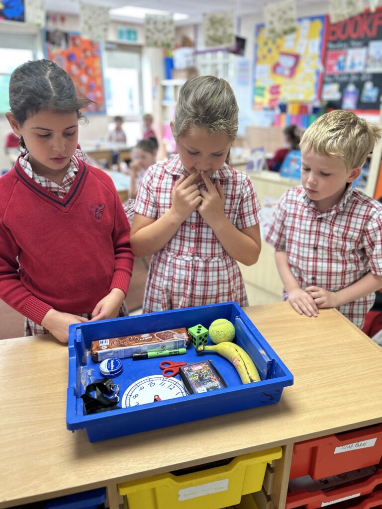 Using our senses, Copthill School