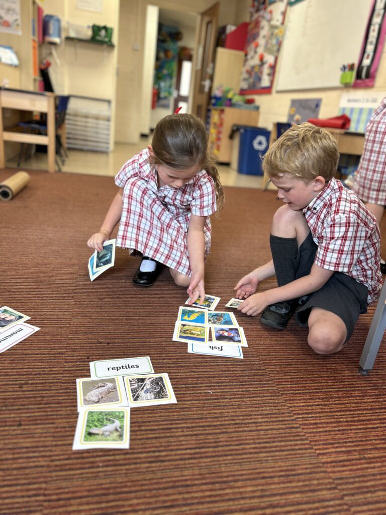 Using our senses, Copthill School