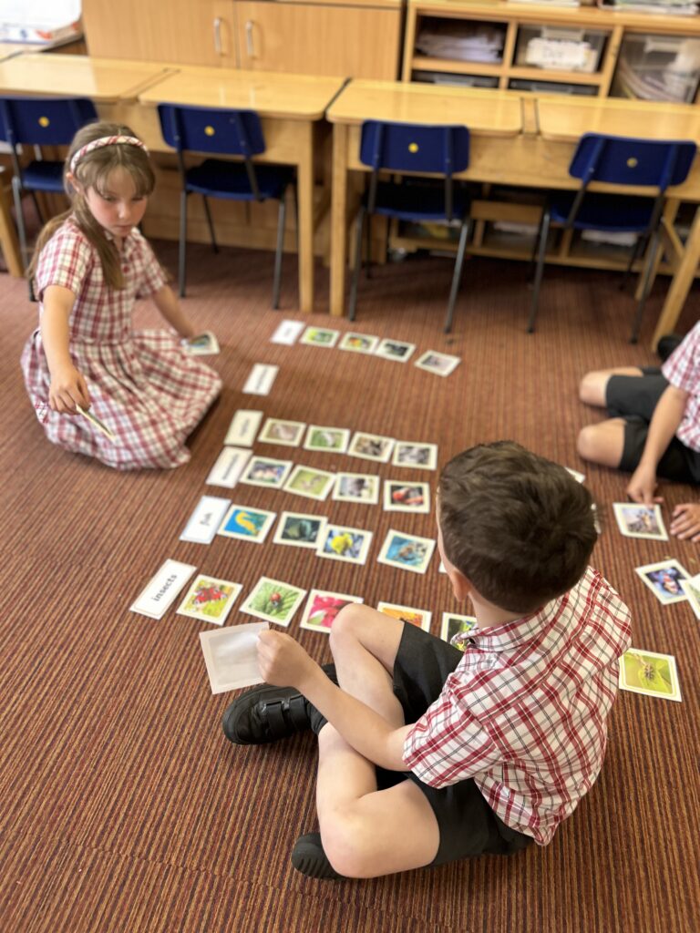 Using our senses, Copthill School