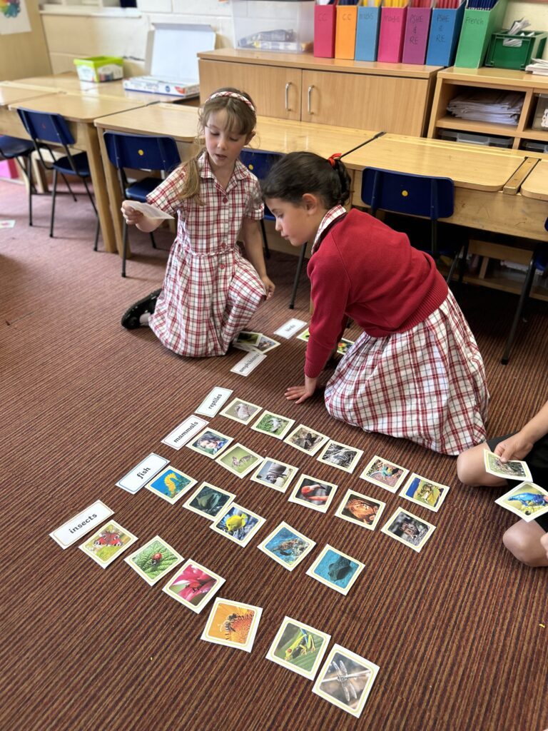 Using our senses, Copthill School