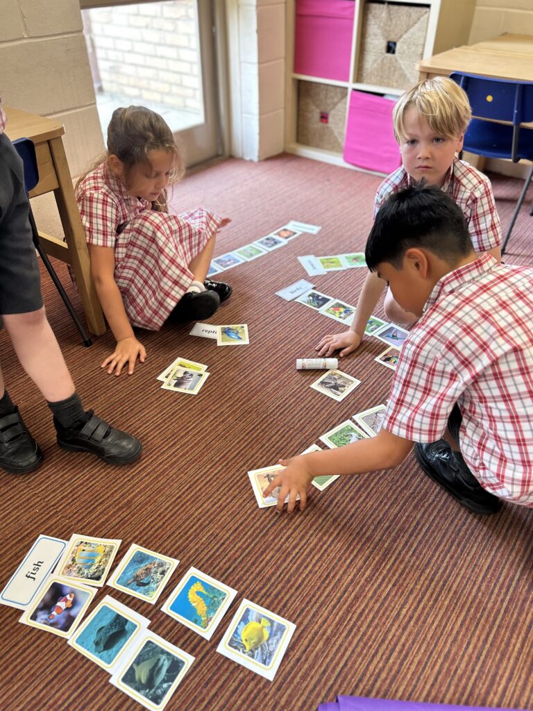 Using our senses, Copthill School