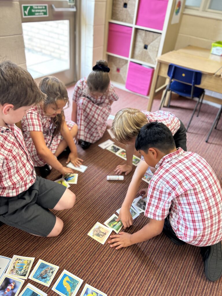 Using our senses, Copthill School