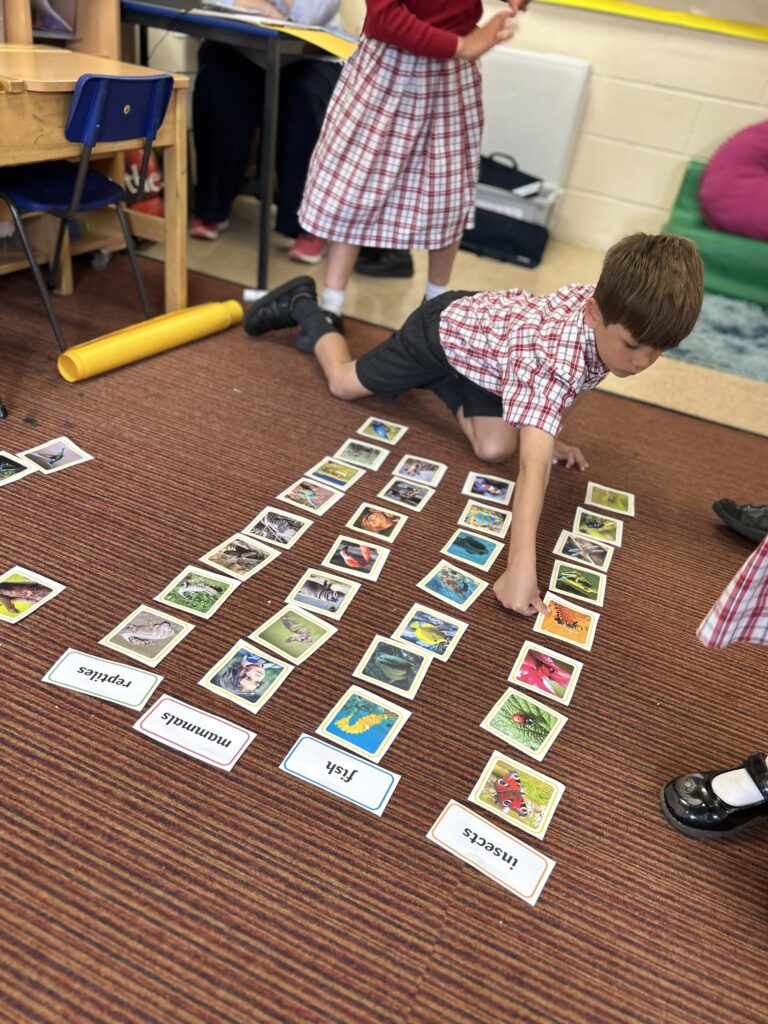 Using our senses, Copthill School