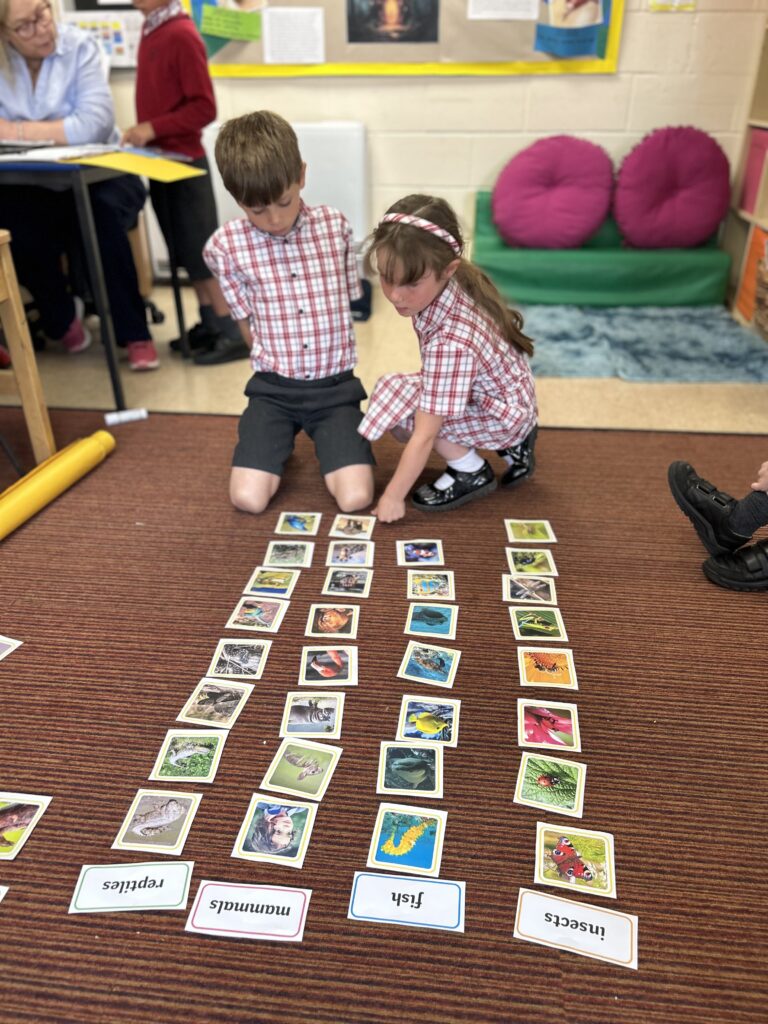 Using our senses, Copthill School