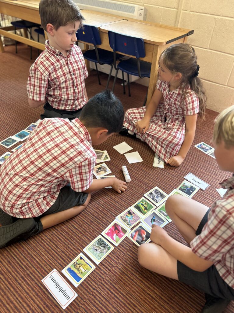 Using our senses, Copthill School