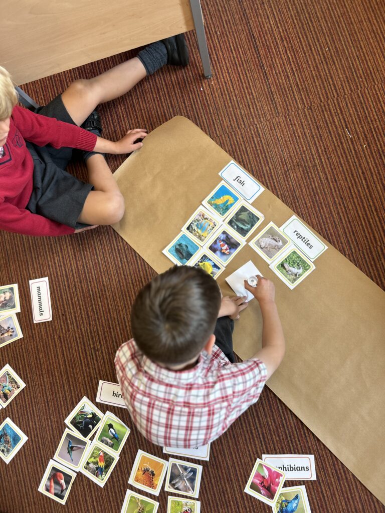 Using our senses, Copthill School