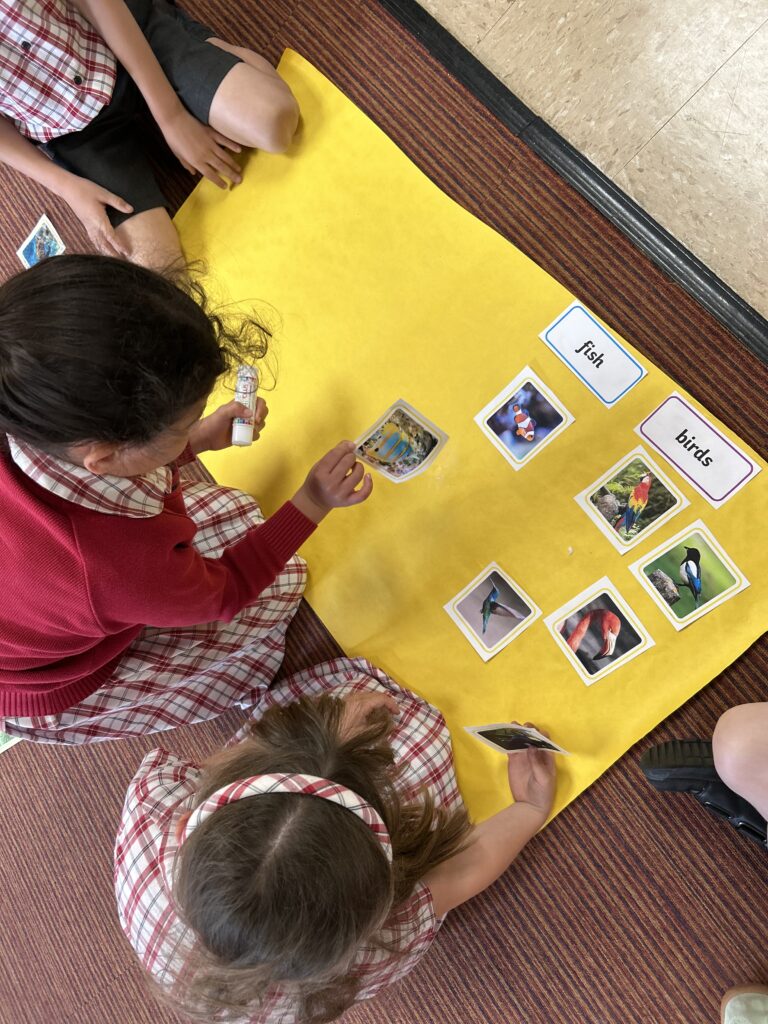 Using our senses, Copthill School