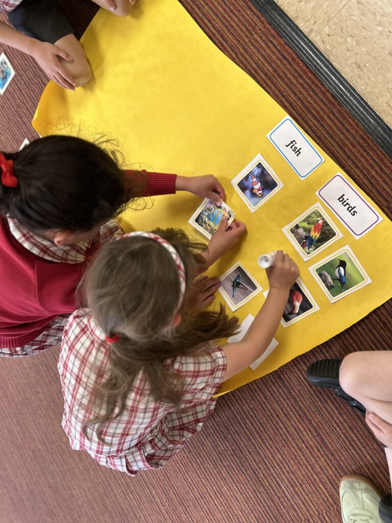 Using our senses, Copthill School