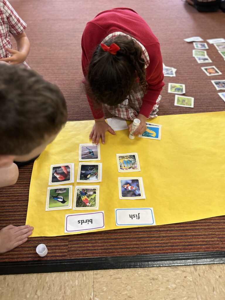 Using our senses, Copthill School