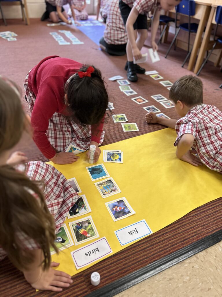 Using our senses, Copthill School