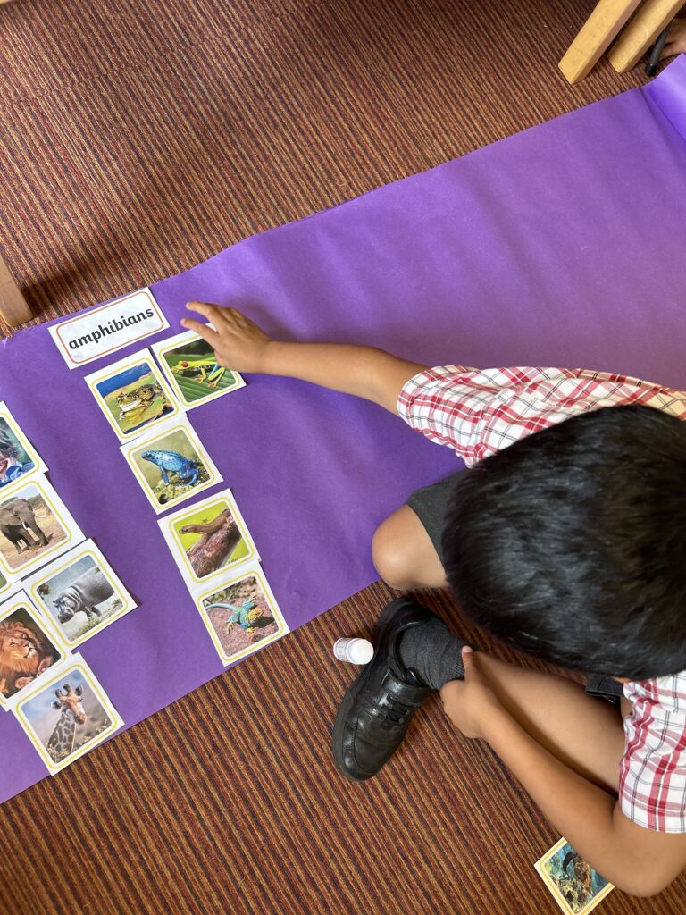 Using our senses, Copthill School