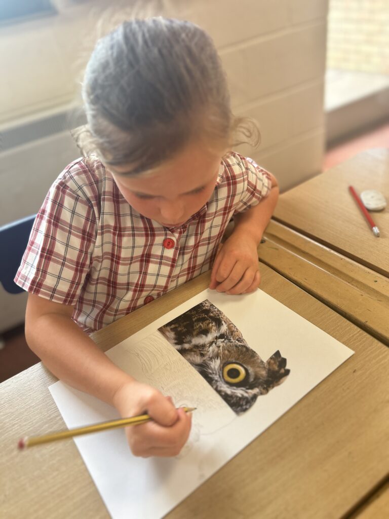 Using our senses, Copthill School