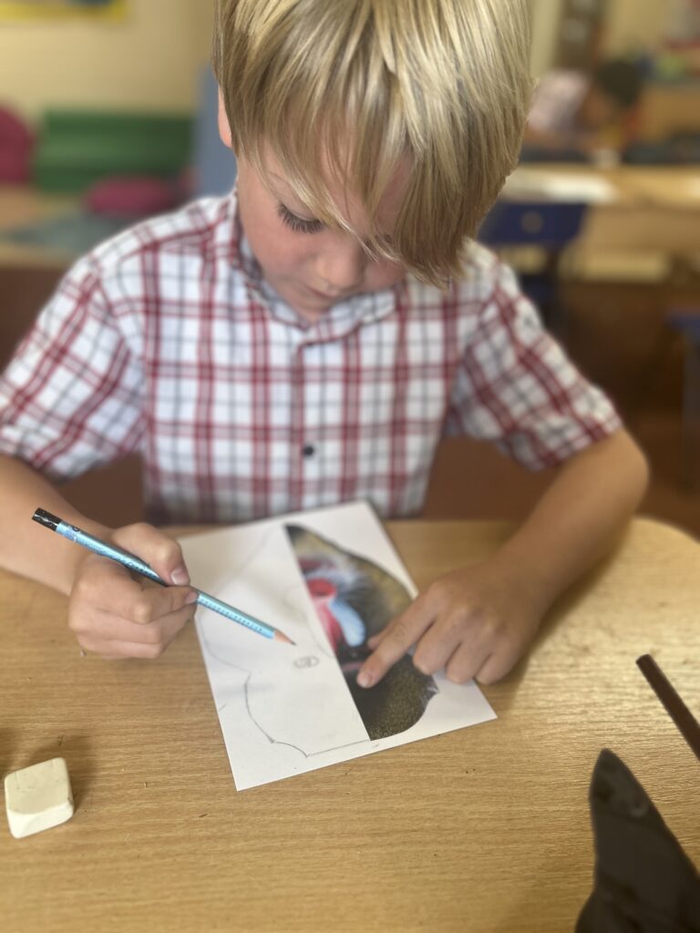 Using our senses, Copthill School