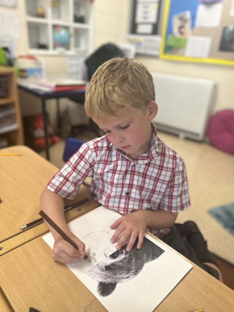 Using our senses, Copthill School