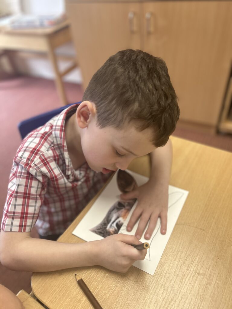Using our senses, Copthill School