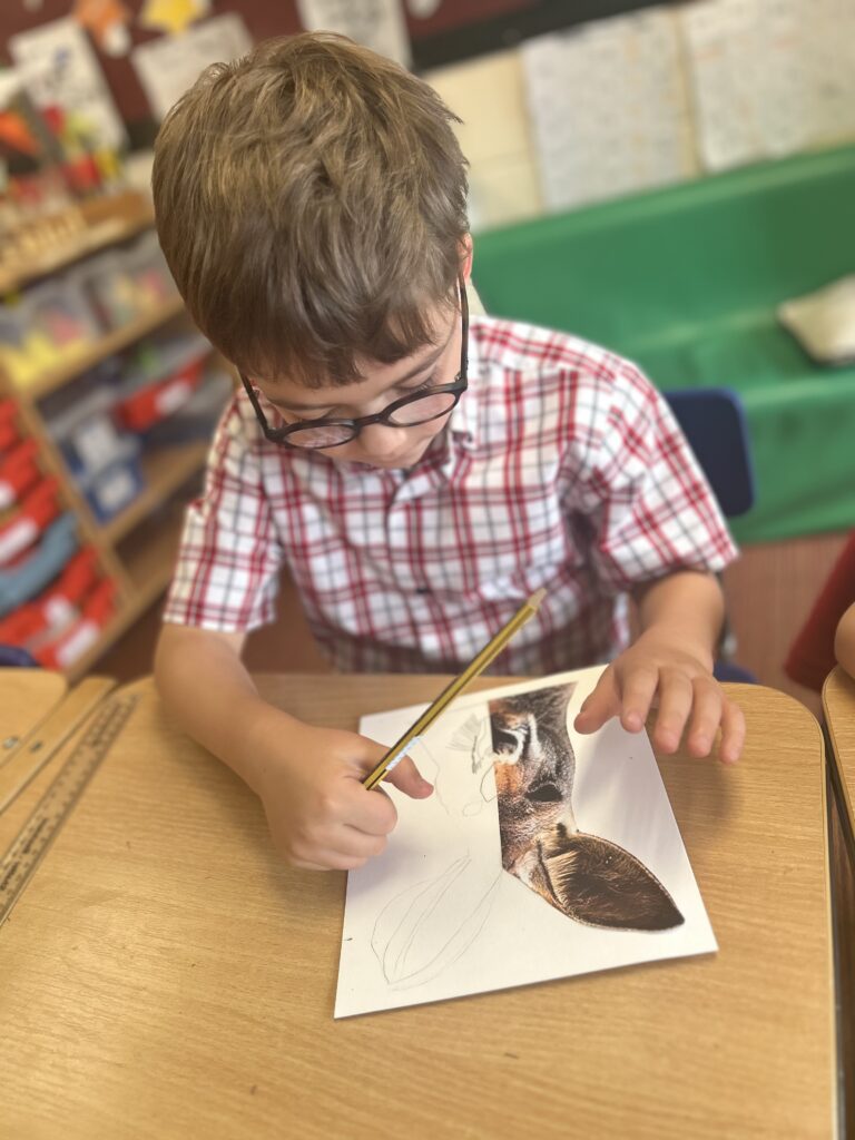Using our senses, Copthill School