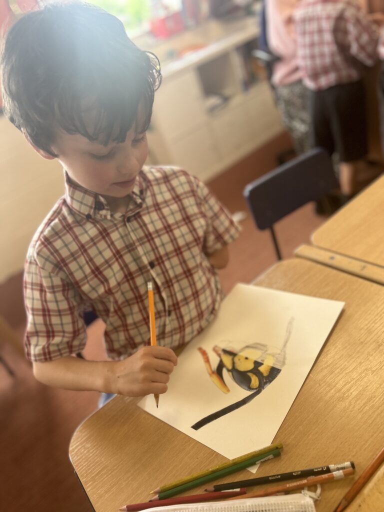 Using our senses, Copthill School