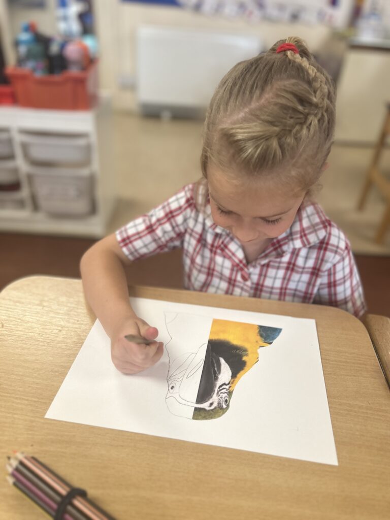 Using our senses, Copthill School