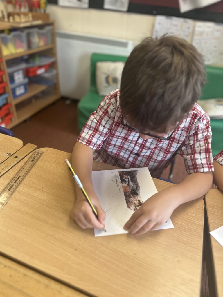 Using our senses, Copthill School