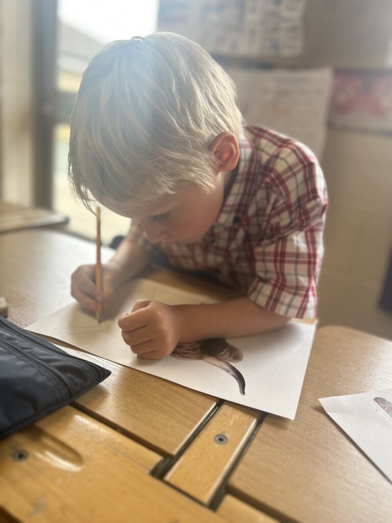 Using our senses, Copthill School