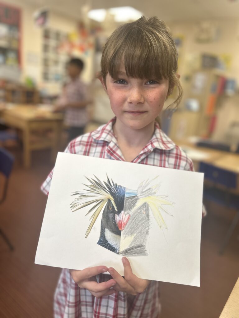 Using our senses, Copthill School
