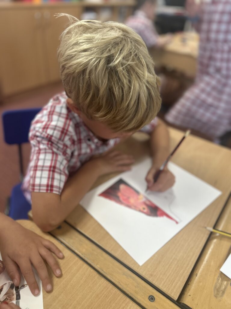 Using our senses, Copthill School