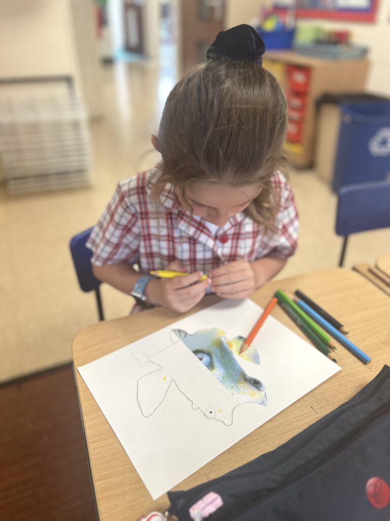 Using our senses, Copthill School