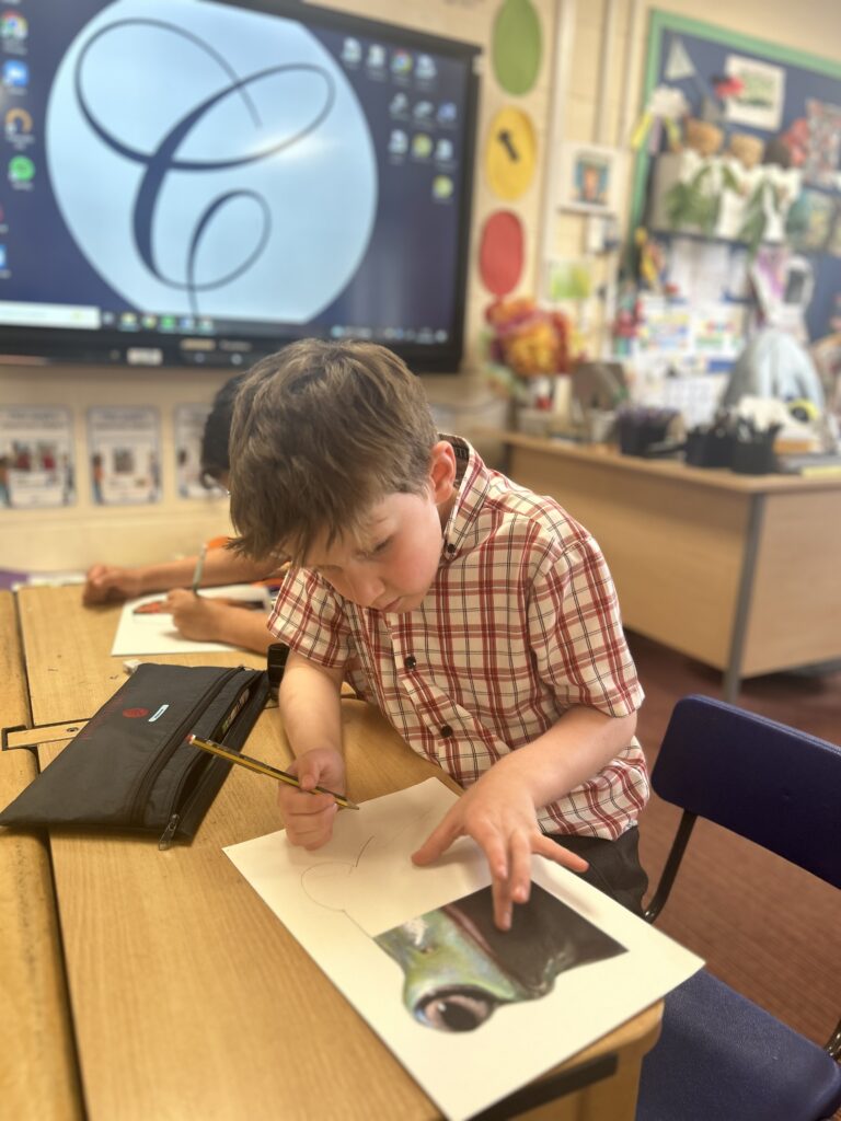 Using our senses, Copthill School