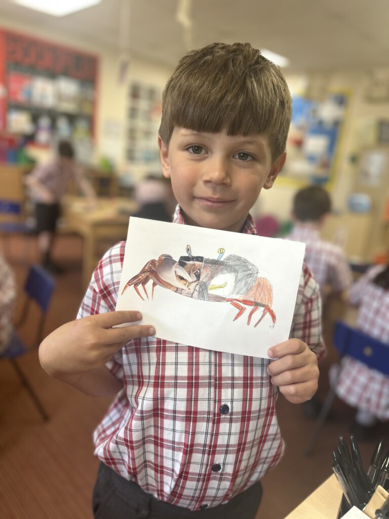 Using our senses, Copthill School