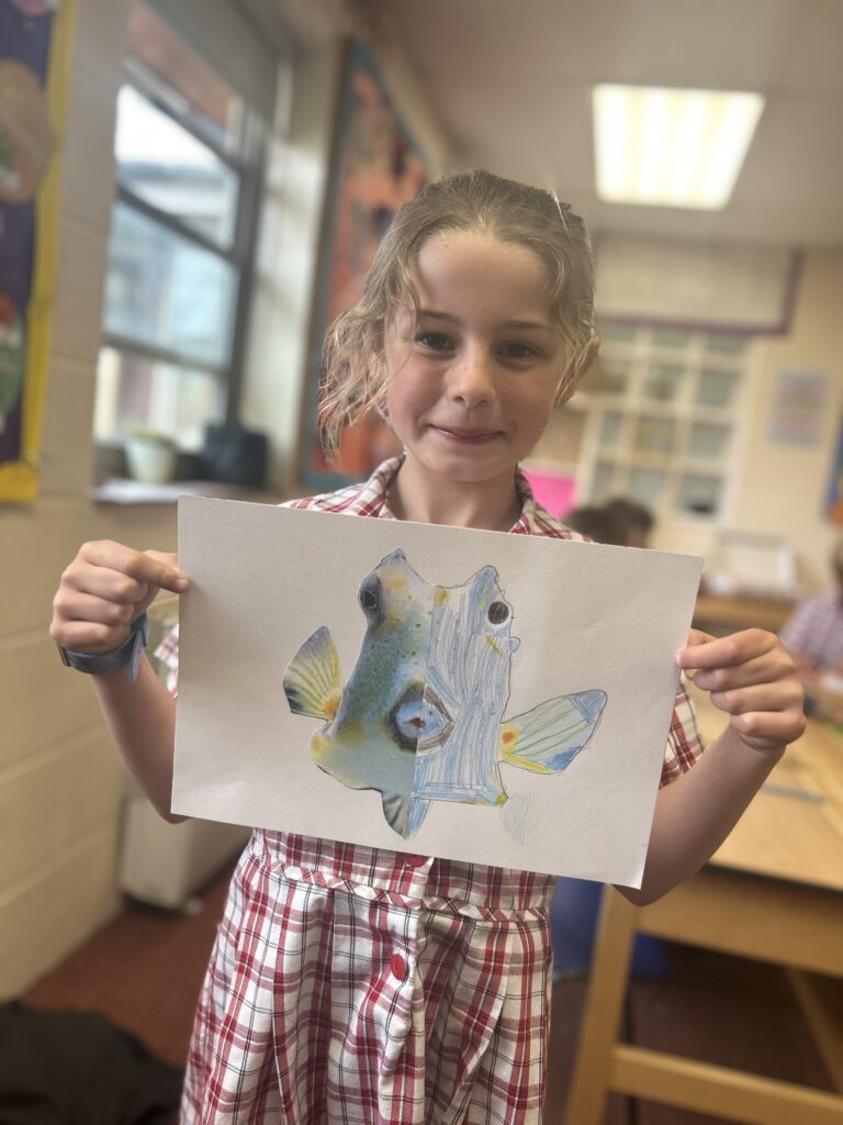 Using our senses, Copthill School