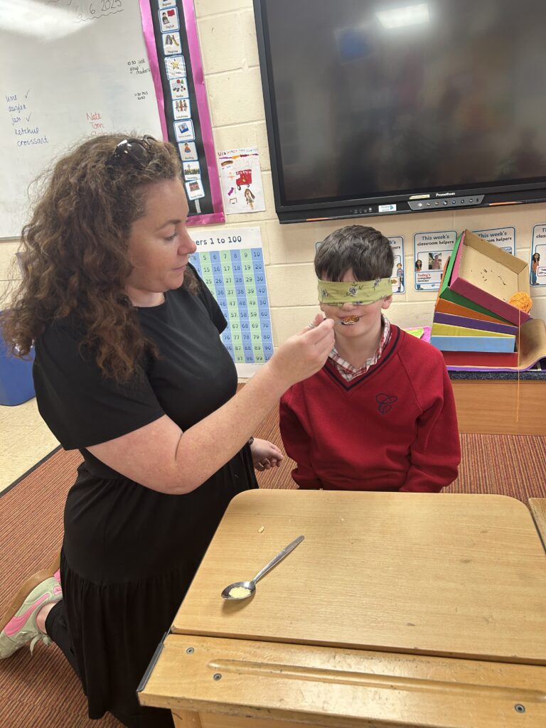 Using our senses, Copthill School
