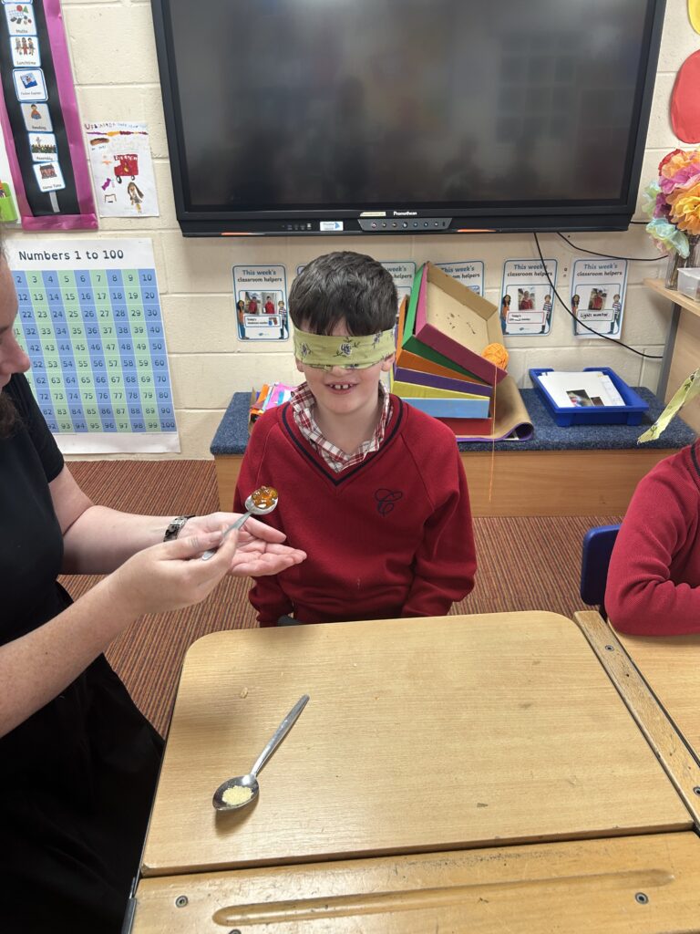 Using our senses, Copthill School