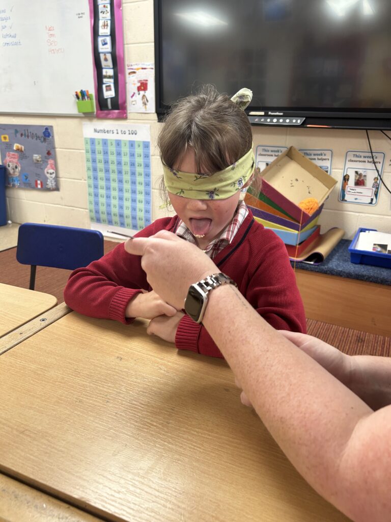 Using our senses, Copthill School