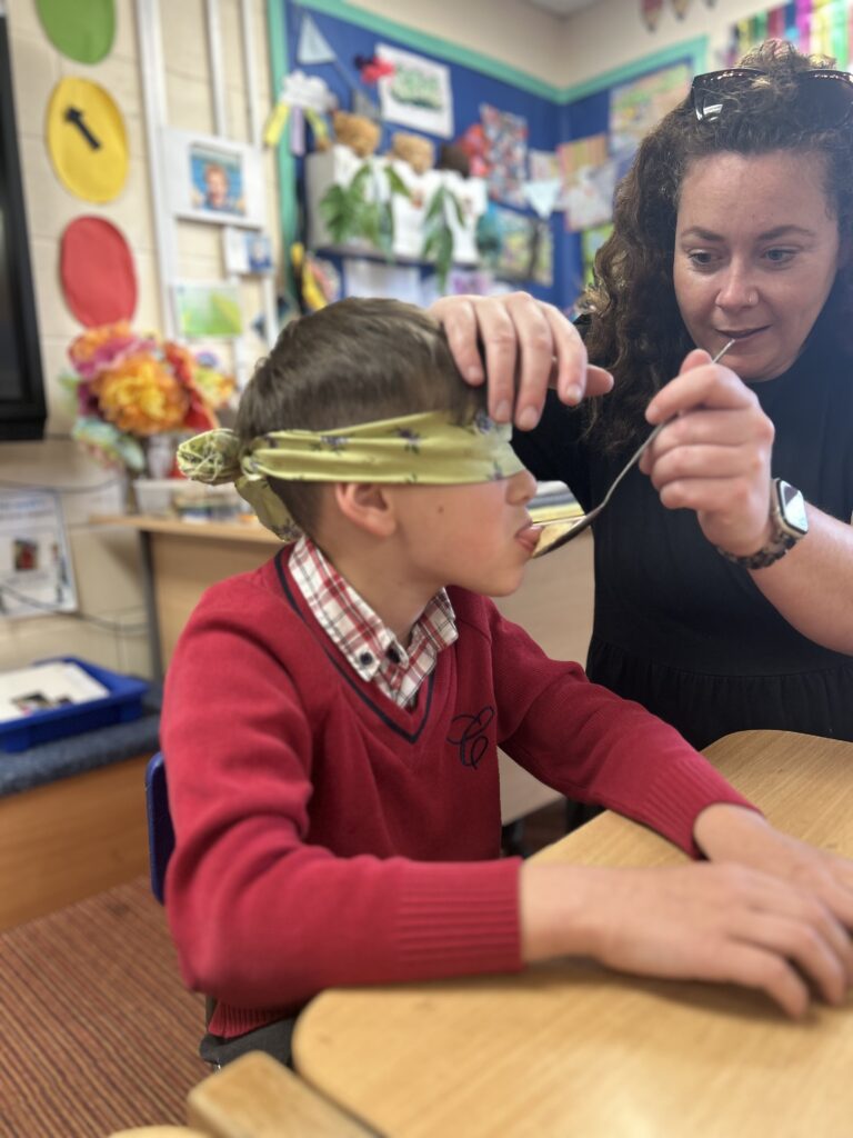 Using our senses, Copthill School