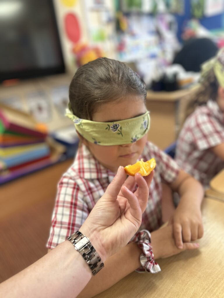 Using our senses, Copthill School